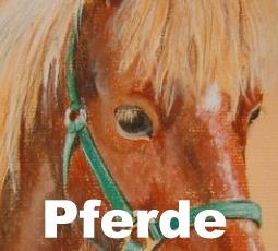 Pferde Zeichnungen nach Vorlage, Tierportrait